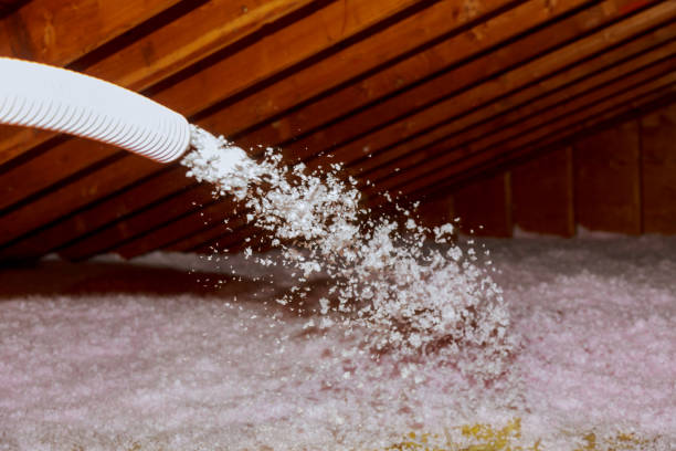 Trusted Palm Beach, FL Insulation Contractor Experts