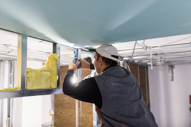 Best Professional Insulation Contractor  in Palm Beach, FL